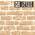 Фасадная панель (сайдинг) KMEW под кирпич HCW1962GC (НCA1962C)